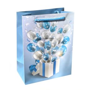 Gift bag glossy, medium (23x18 cm)