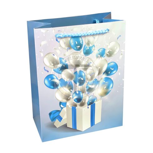 Gift bag glossy, medium (23x18 cm)