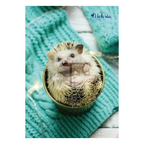 Spirálfüzet, A4, kockás, 80 lap, VICTORIA "Animals"