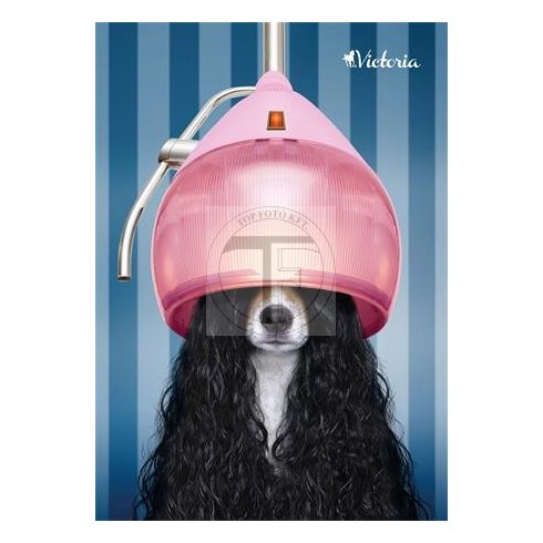 Spirálfüzet, A4, kockás, 80 lap, VICTORIA "Animals"