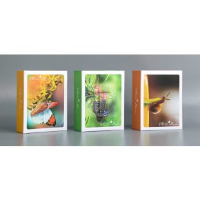 Bedugós (zsebes) fotóalbum 10x15 cm/100 db