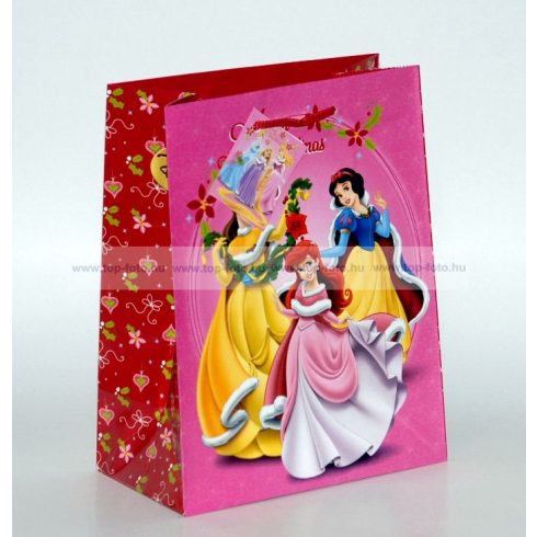 Karácsonyi Disney ajándéktasak méret: közepes