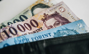 Házhozszállítás utánvéttel